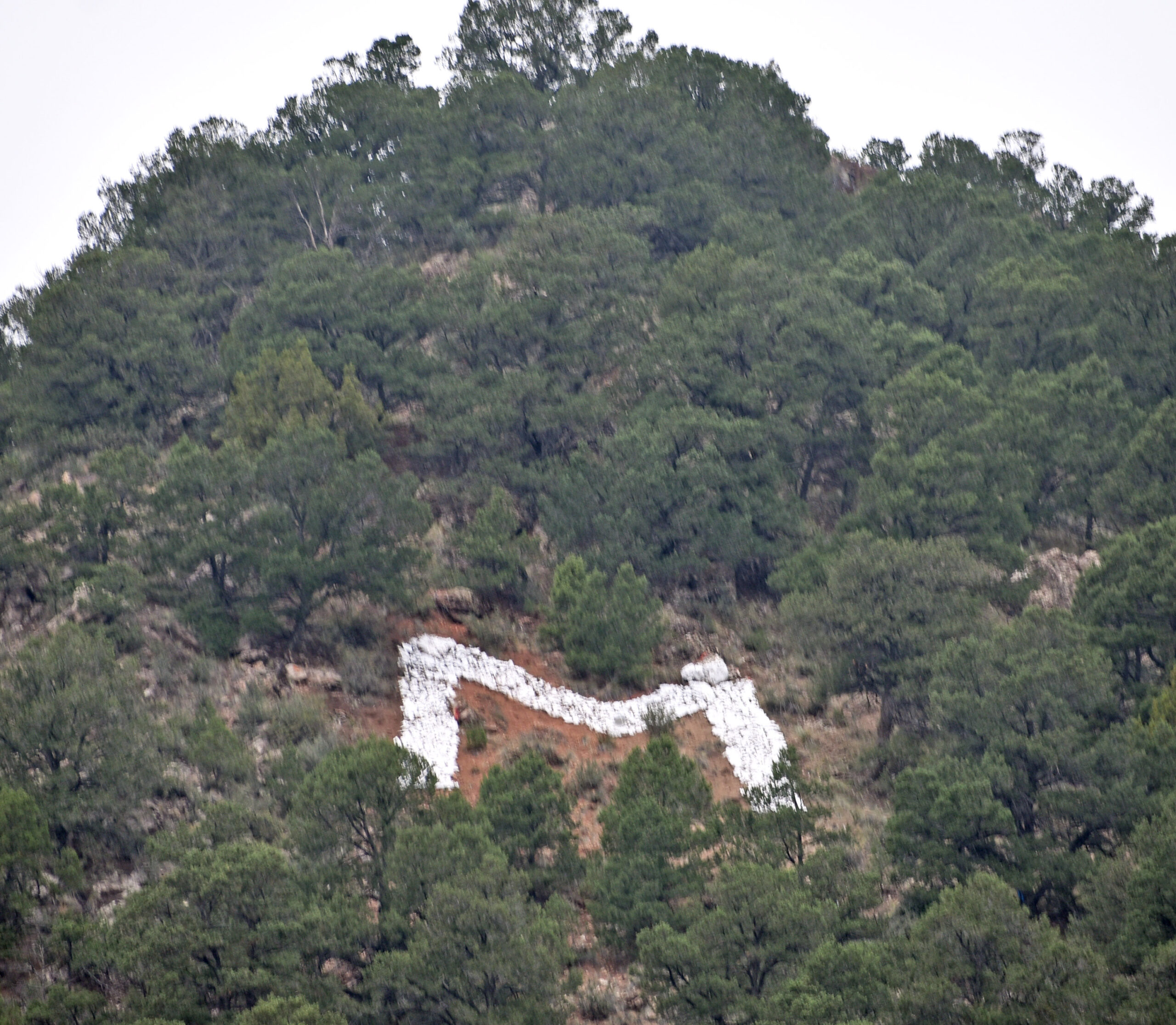 Photo by Rhonda Van Pelt. The M is in a wooded area on a hillside northwest of Manitou Springs.